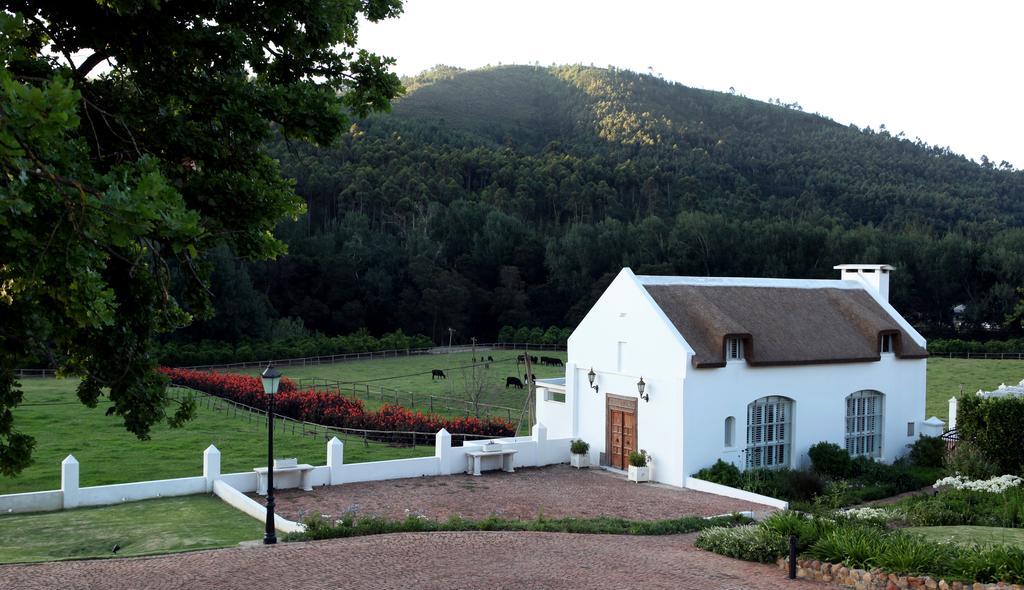 Grand Dedale Country House Wellington Exterior foto